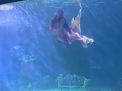 -常州海昌海洋探索馆