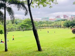 -深圳龙潭公园