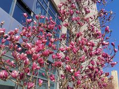 -亦庄创意生活广场