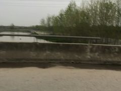 -洨河生态公园