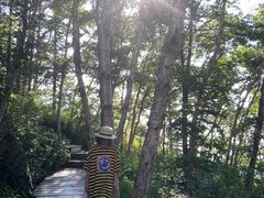 -白草畔自然风景区