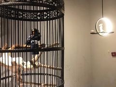 -清真·京华源铜锅涮肉(丰庆店)