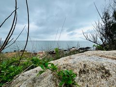 -养马岛旅游度假区