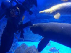 -烟台海昌鲸鲨海洋公园