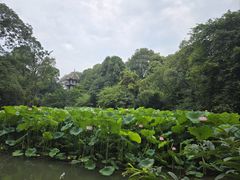 -成都杜甫草堂博物馆