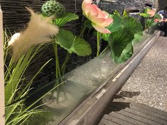 -大榕树下顺德菜(融创茂店)