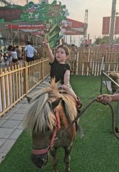 -萌宠亲子动物乐园(槐房万达店)