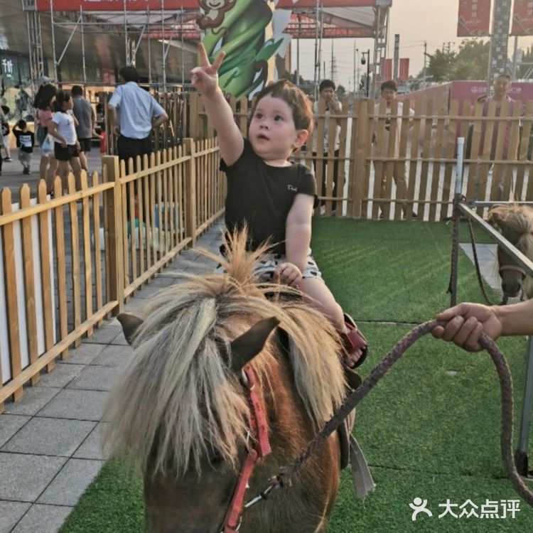 北京遛娃哪里去❓万达亲子动物园[调皮]带给娃不一样的欢乐[胜利]