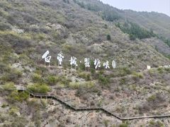 -白帝城·瞿塘峡景区