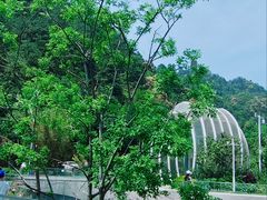 -缙云山景区