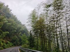 -四明山国家森林公园