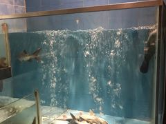 -漓江又一軒·广西菜·桂林米粉(梅林店)