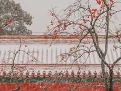 -故宫博物院(故宫)