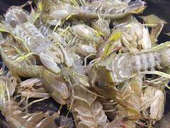 红膏虾菇-渔傅·蓝海岸霞浦海鲜(正祥店)