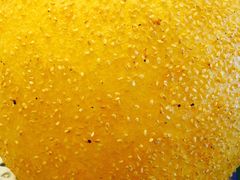 -海景壹号大酒店(惠钱路店)