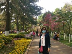 -昆明动物园