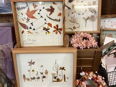 -知物癖(牛王庙店)