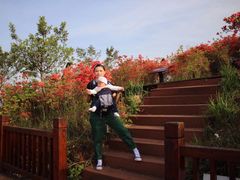 -瑞安圣井山景区