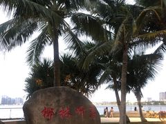 -万绿园