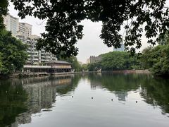 -荔湾湖公园