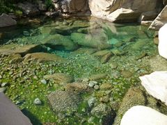 -蟹之国·精品蟹料理(极地店)