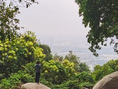 -火炉山森林公园