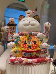 -洛伊科技抗衰护肤中心