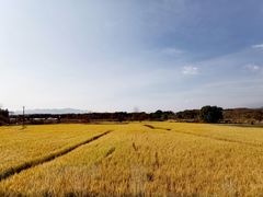 -塔川景区