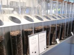 -喜茶(上海打浦桥日月光gelato lab+店)