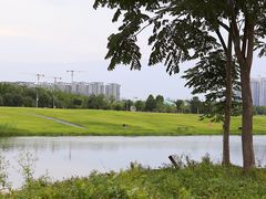 -洋湖国家湿地公园