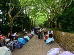 -人民公园-相亲角