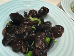 凉拌野生木耳-太兴餐厅(东方广场分店)