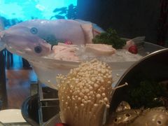 -海棠湾洲际-涛·海底餐厅·美人鱼·自助餐·海底隧道