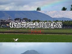 -大理洱源西湖景区