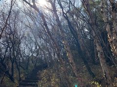 -白草畔自然风景区