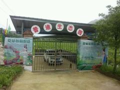 -普迪生态园