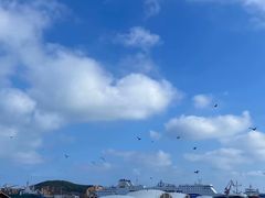 -海驴岛(荣成市)