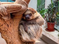-正佳雨林生态植物园