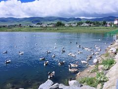 -青海湖国家重点风景名胜区