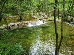 -牛背梁国家森林公园