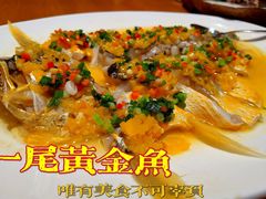 -广州富力君悦大酒店空中花园