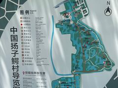 -中国扬子鳄村