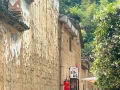 -杨家堂村