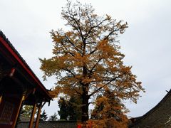 -金堂县云顶石城风景区