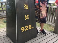 -江南天池