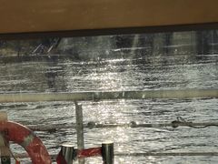 -船长9号·精致湖北菜(江滩店)