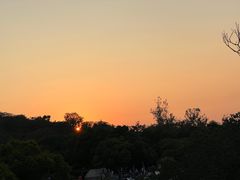 -上海吴淞炮台湾国家湿地公园