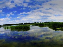 景点-溱湖国家湿地公园