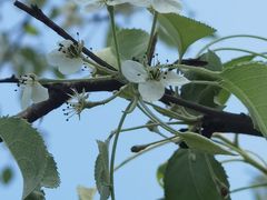 -盘龙城国家考古遗址公园