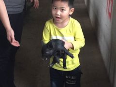 -洪湖家庭农场·团建·露营·会议